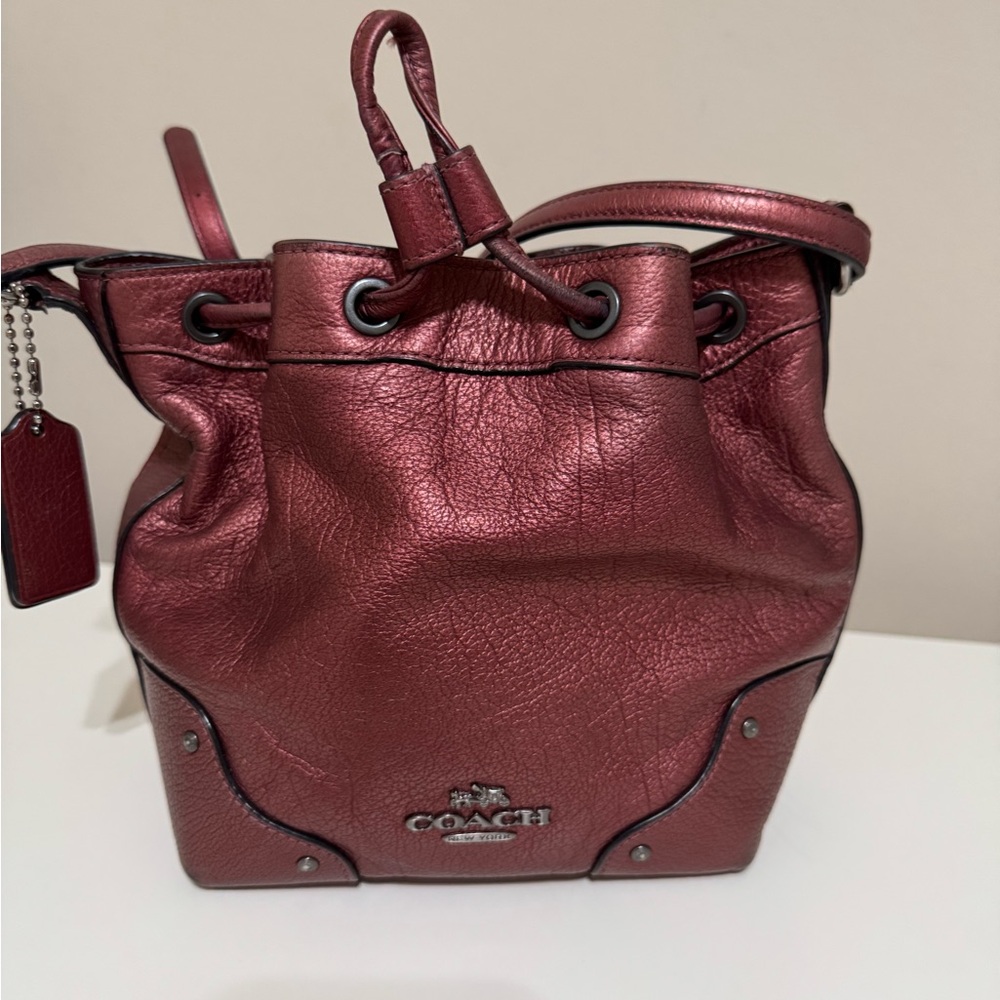 Coach Deep Burgundy Mini Bag